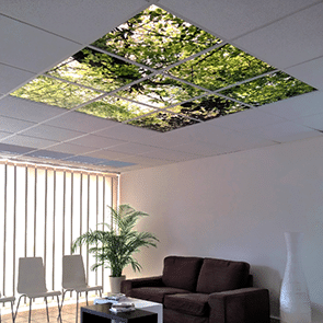 Happysky Led varia Led, sérigraphie Forêt espace accueil