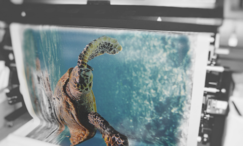 photo atelier impression en cours tortue 3 Happyline produits personnalisable par technique d'impression interne